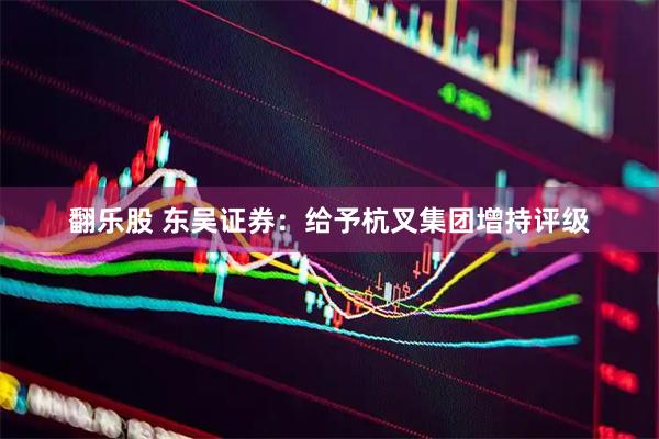 翻乐股 东吴证券：给予杭叉集团增持评级