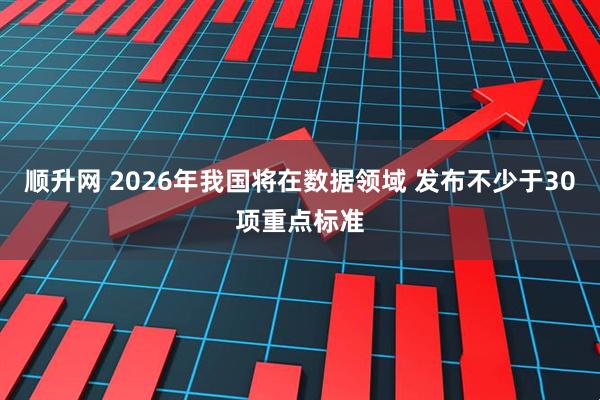 顺升网 2026年我国将在数据领域 发布不少于30项重点标准