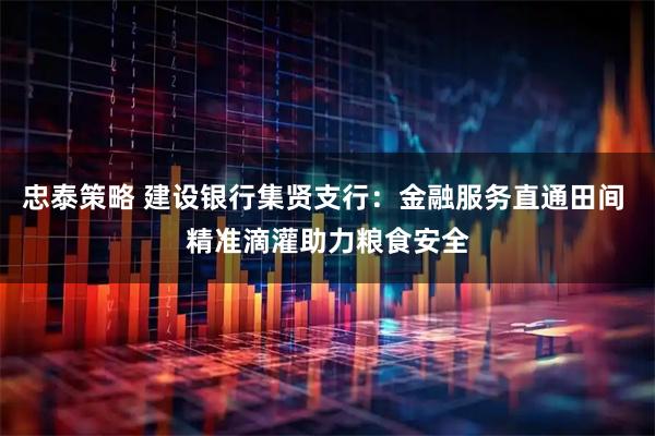 忠泰策略 建设银行集贤支行：金融服务直通田间 精准滴灌助力粮食安全